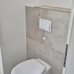 Апартаменты Penthouse 